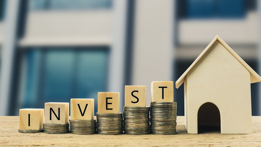 Investment and capital